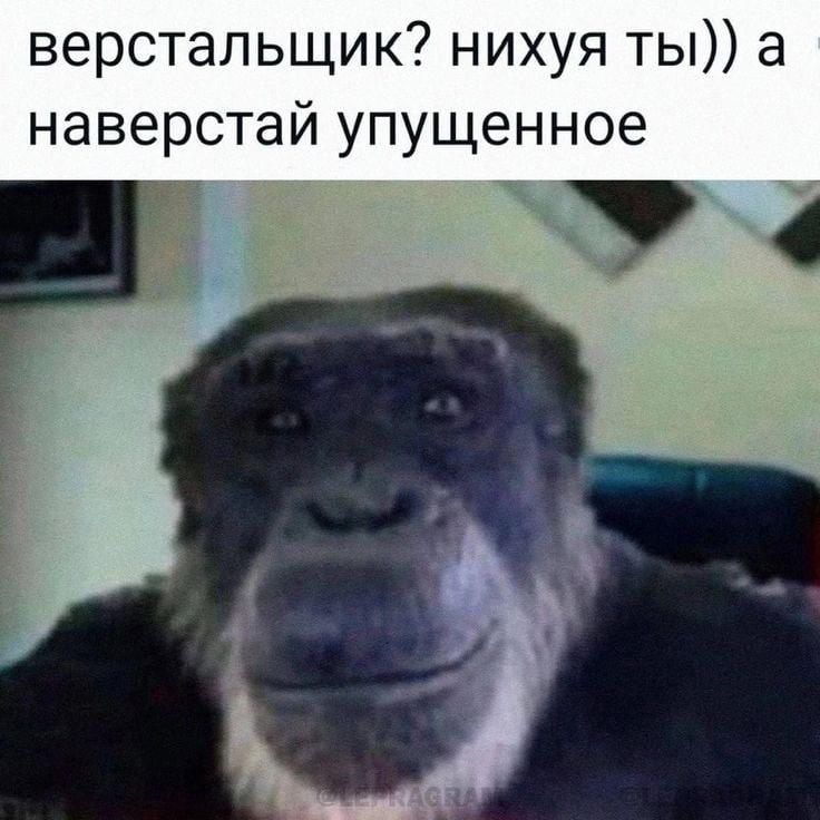 Meme