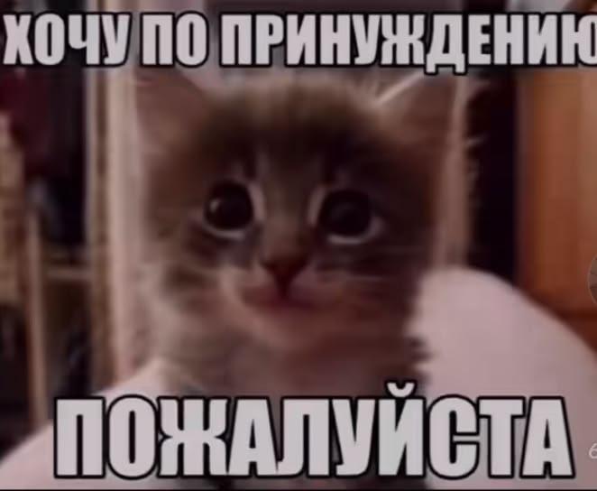Meme