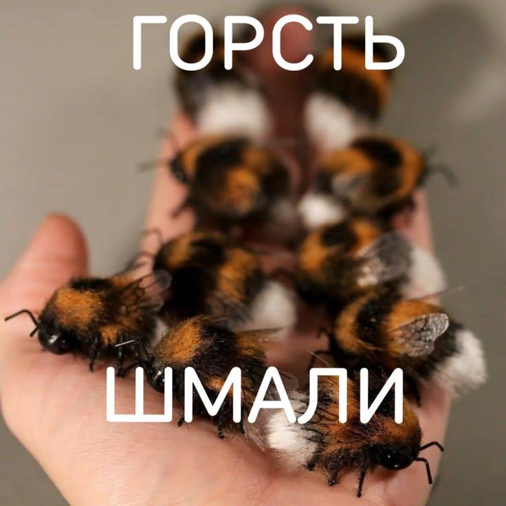 Meme