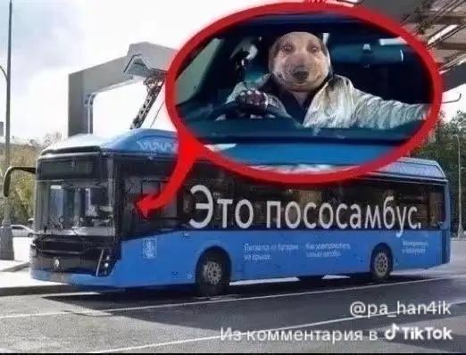 Meme
